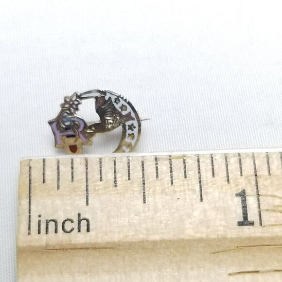 Vintage Daughters of Rebekah I OOF Enameled Pin Brooch, Crescent Moon, Bird - Picture 4 of 6